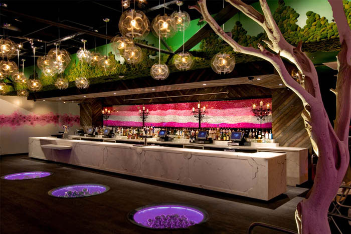 Fluxx San Diego